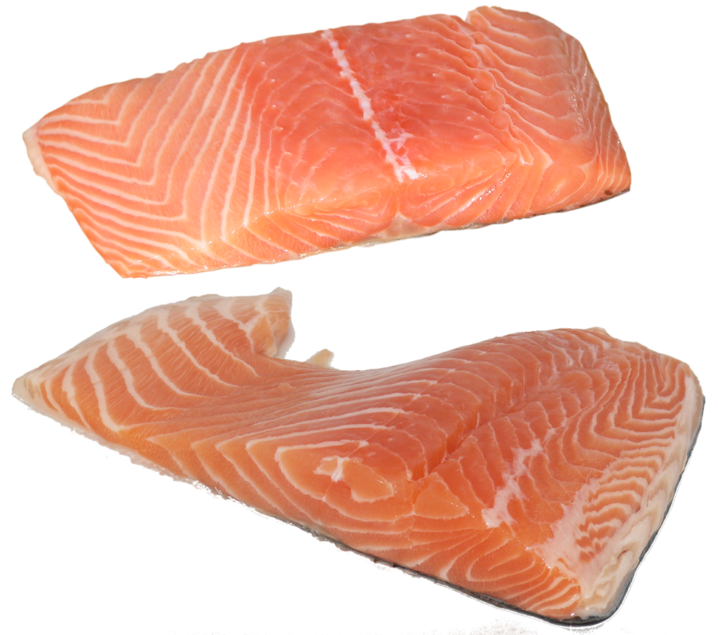 fish, salmon, fillet-2631412.jpg