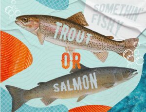 trout or salmon